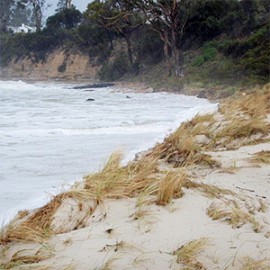 Eroding sand dune during a storm at Spring Beach, southern Tasmania.